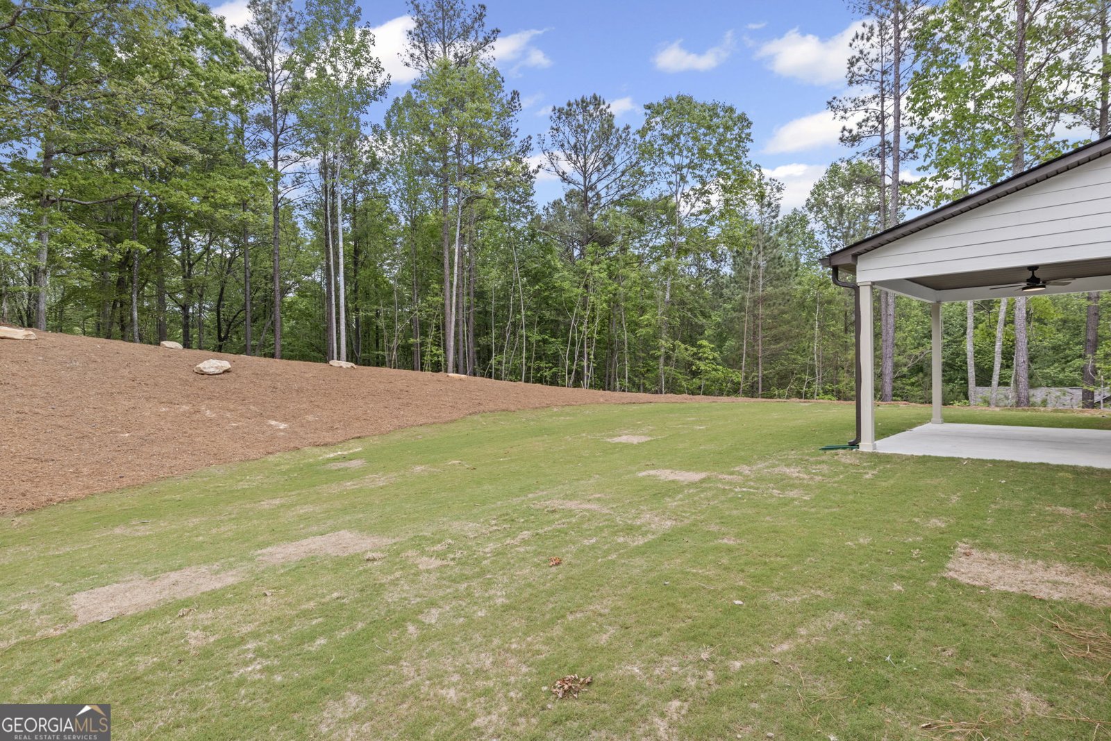 12 Buckthorn Drive Newnan - 41