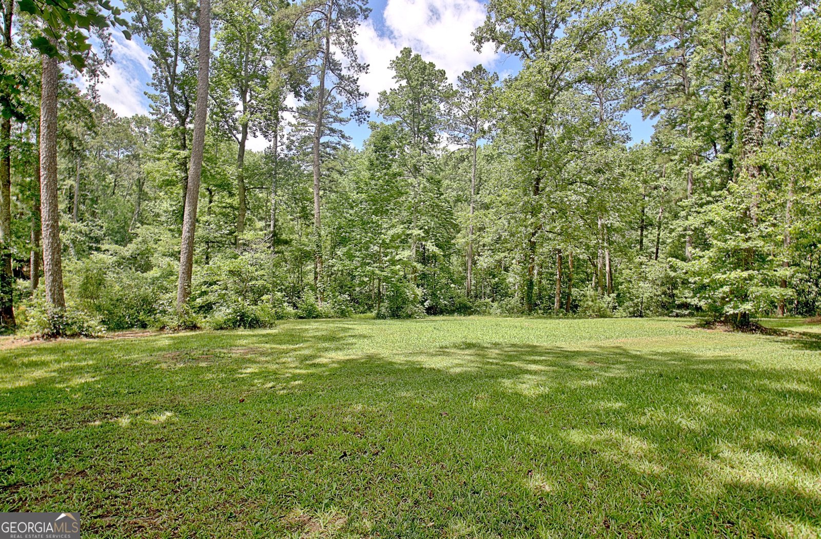 115 Shoal Creek Drive Sharpsburg - 54