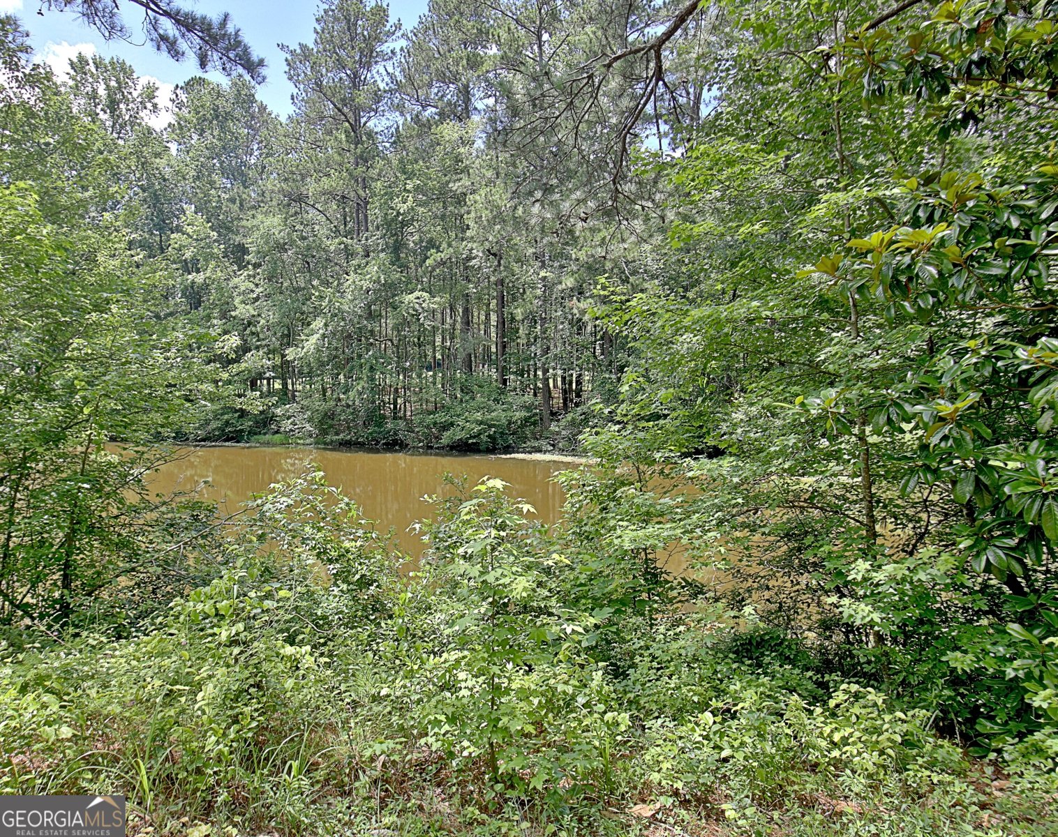 115 Shoal Creek Drive Sharpsburg - 55