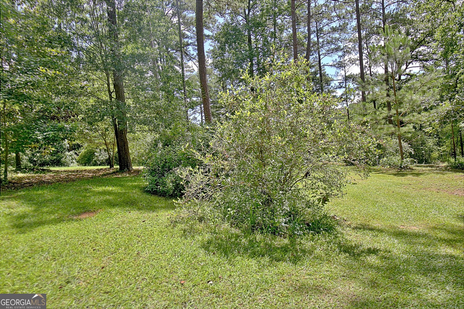 115 Shoal Creek Drive Sharpsburg - 57