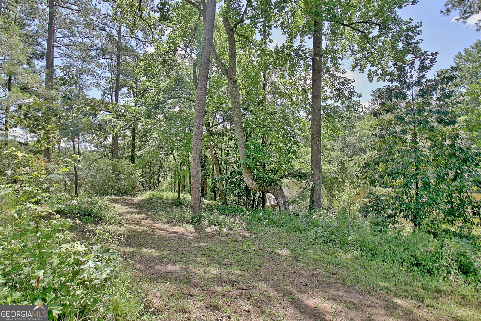 115 Shoal Creek Drive Sharpsburg - 59