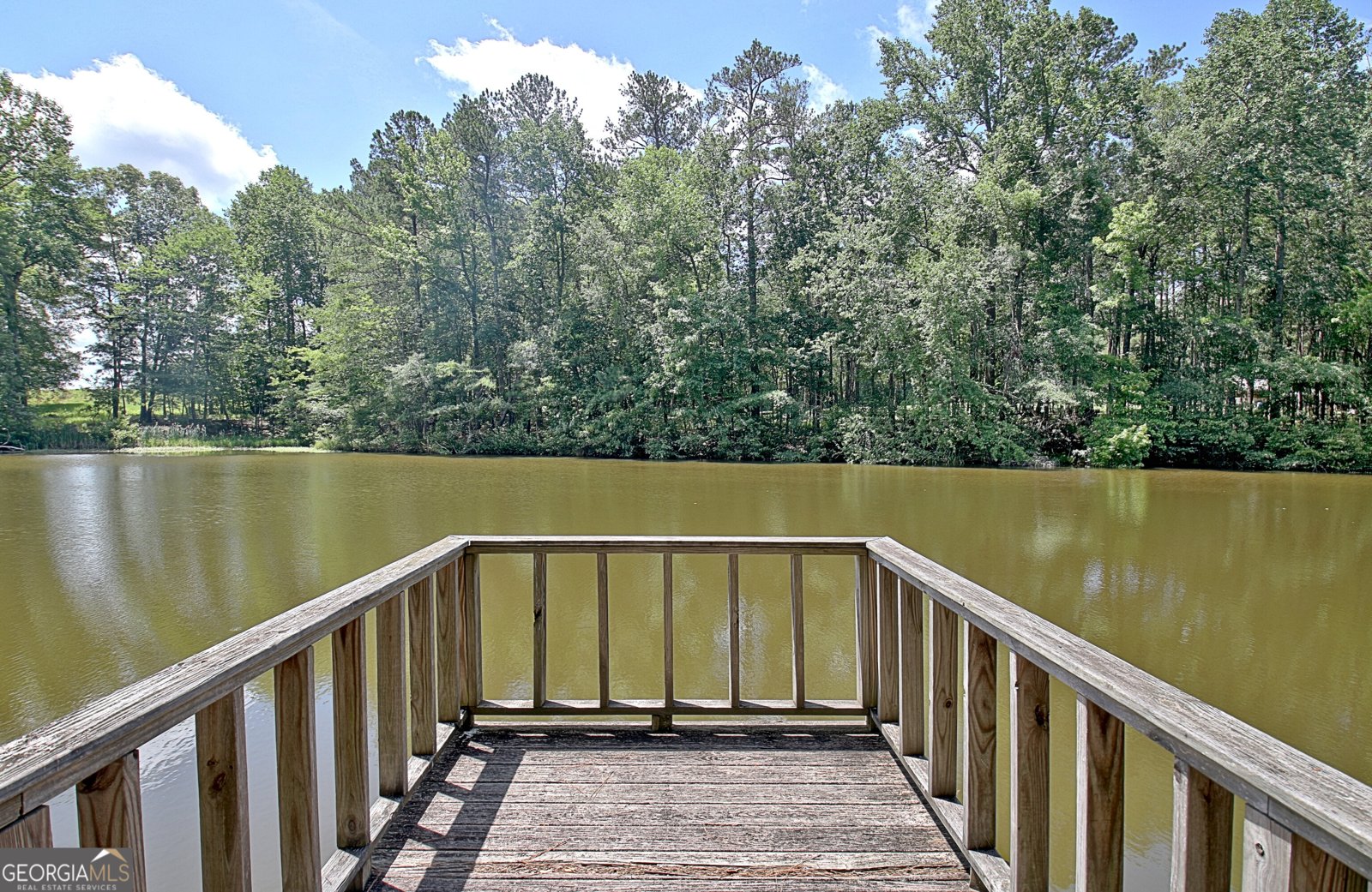 115 Shoal Creek Drive Sharpsburg - 62
