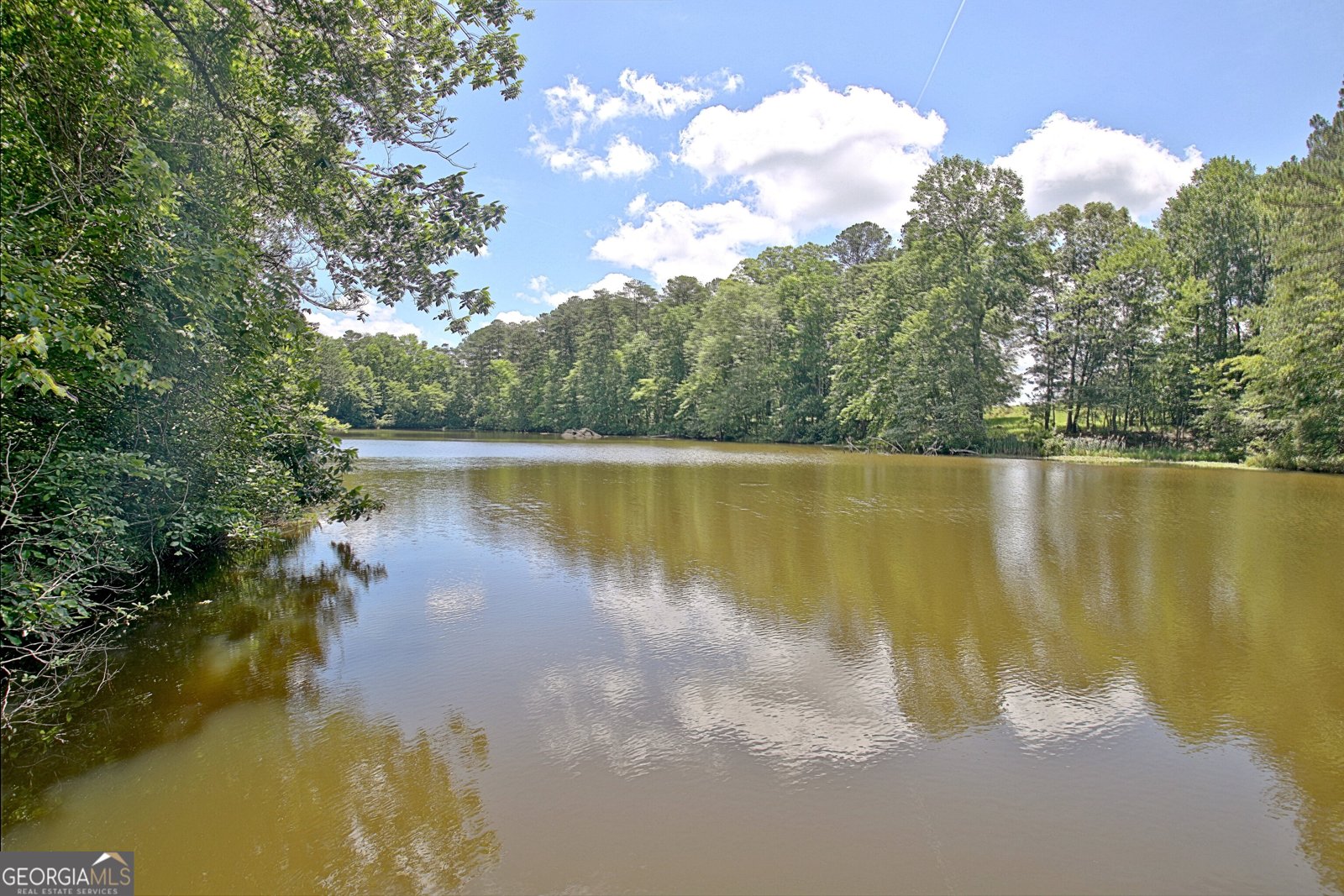 115 Shoal Creek Drive Sharpsburg - 63
