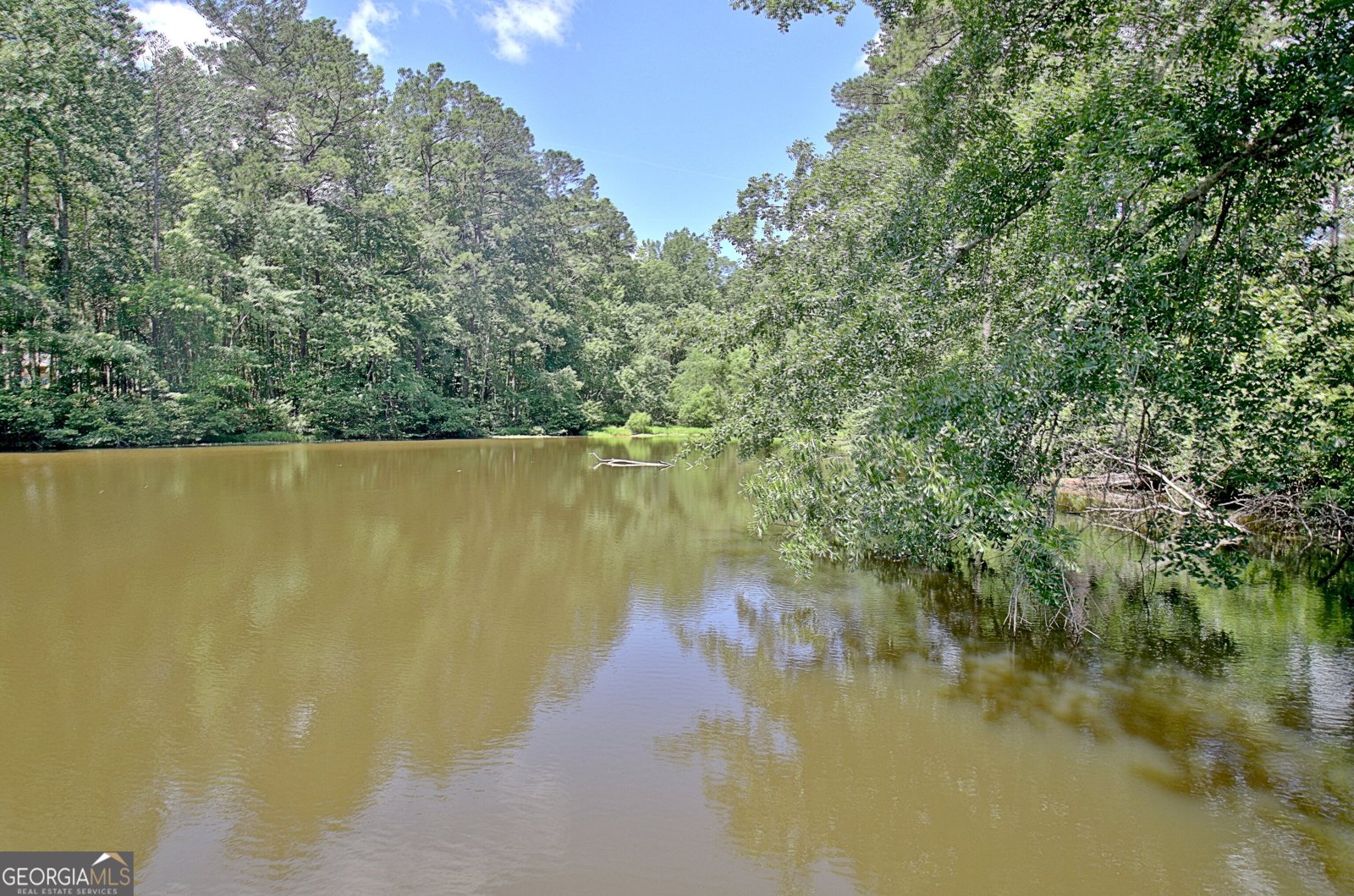 115 Shoal Creek Drive Sharpsburg - 64