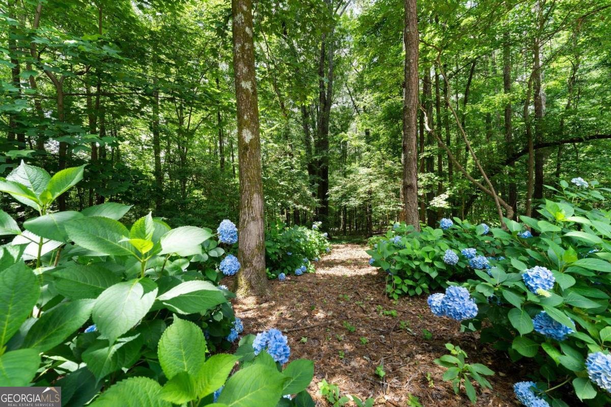 17 Shotgun Road Cartersville - 46