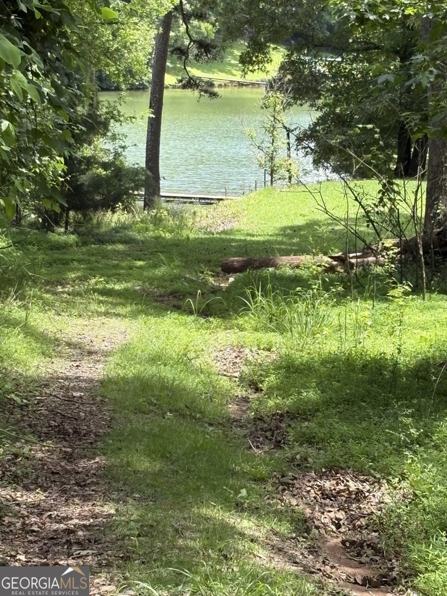 75 Lake Drive Dawsonville - 12
