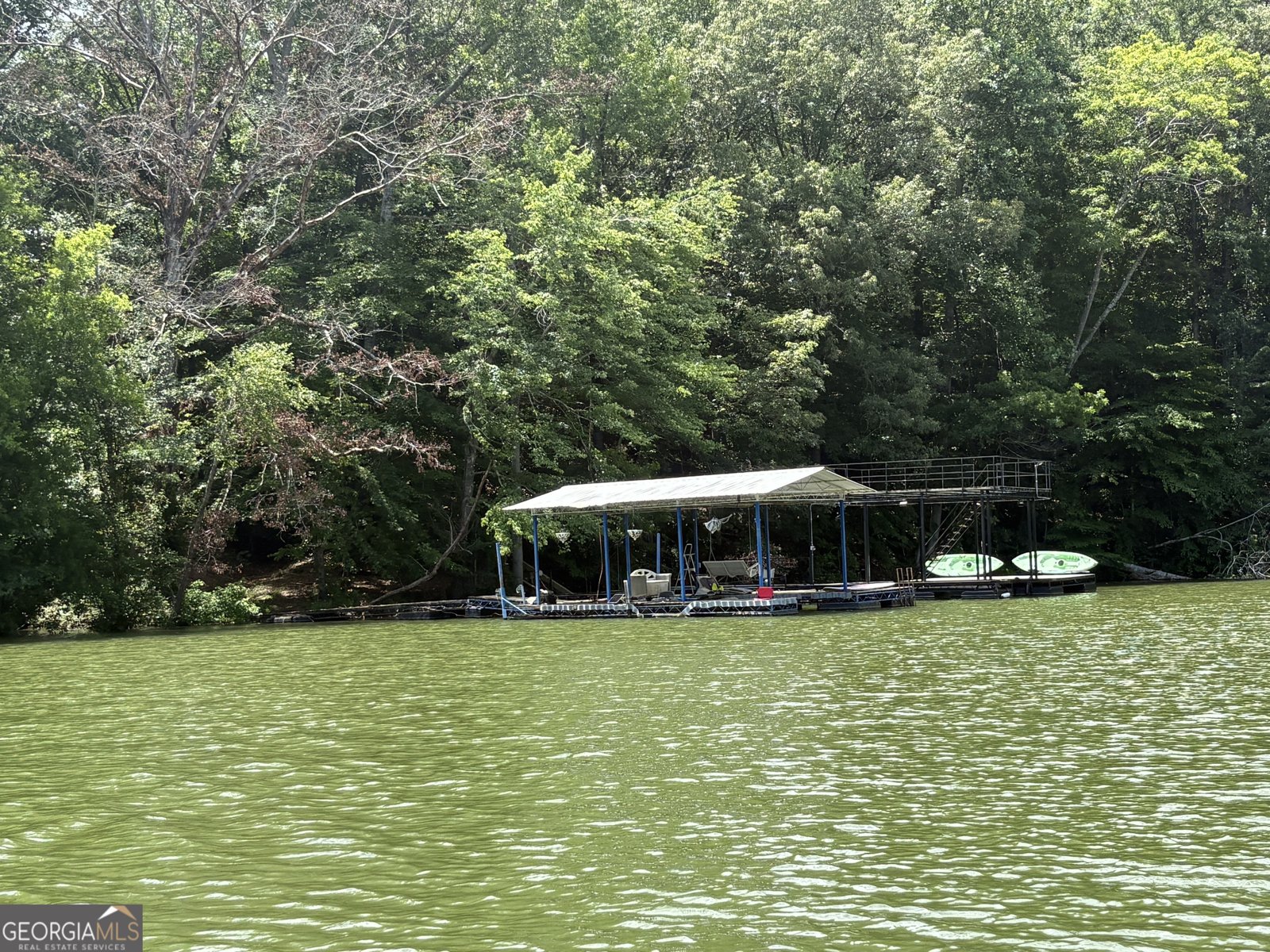 75 Lake Drive Dawsonville - 15
