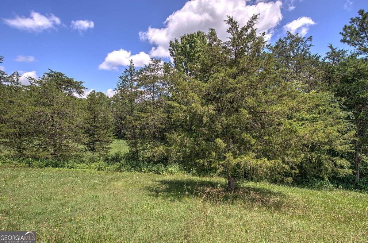 1699 Highway 140 Adairsville - 7