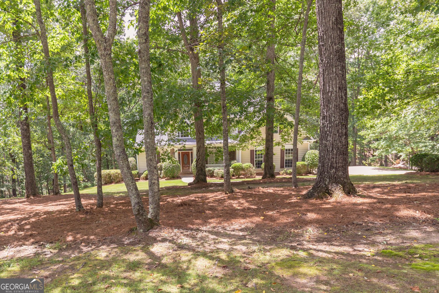 5581 Fox Glove Court Douglasville - 3