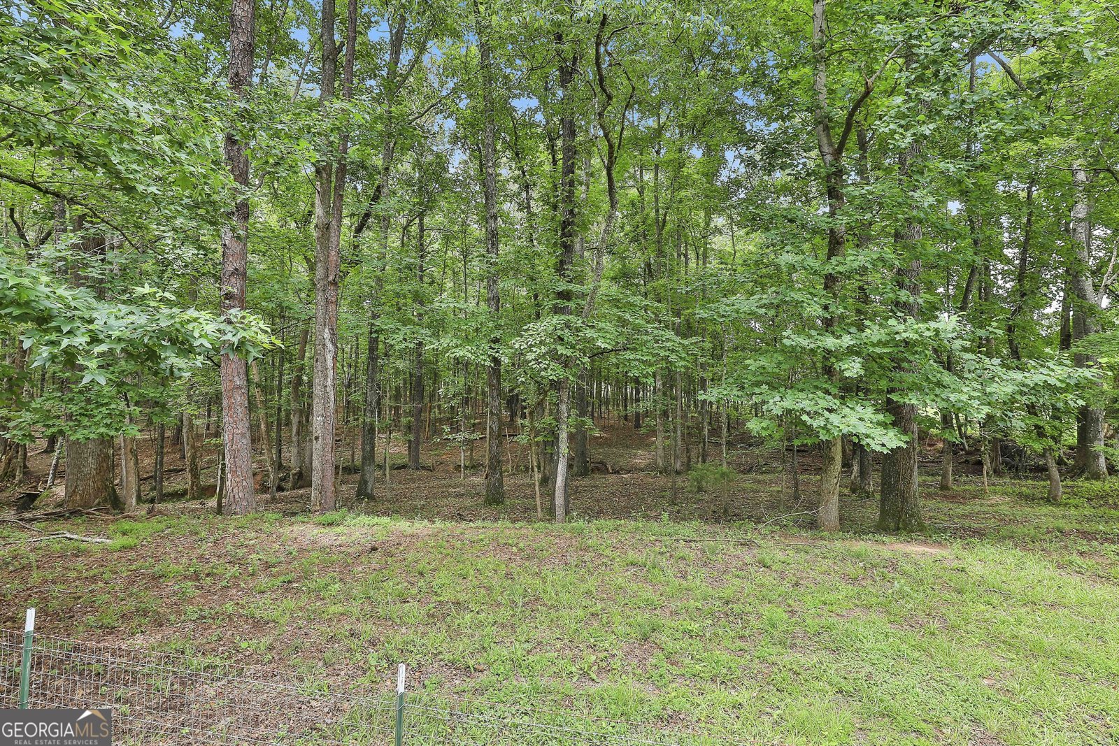 909 Threadgill Road Greenville - 24