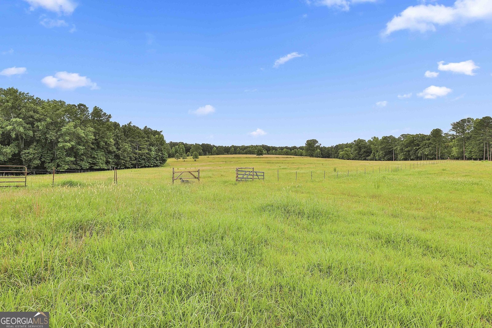 909 Threadgill Road Greenville - 8