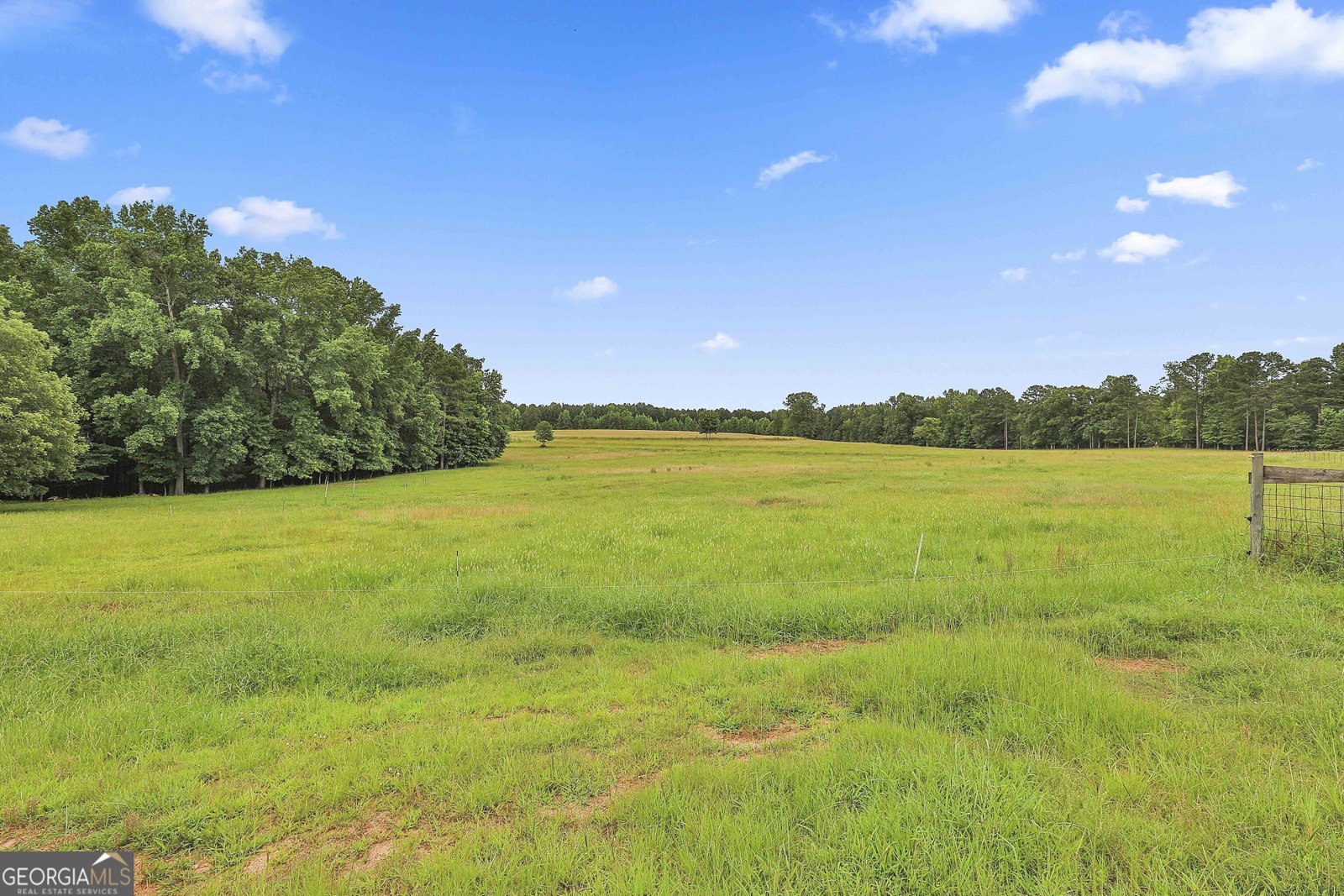 909 Threadgill Road Greenville - 9