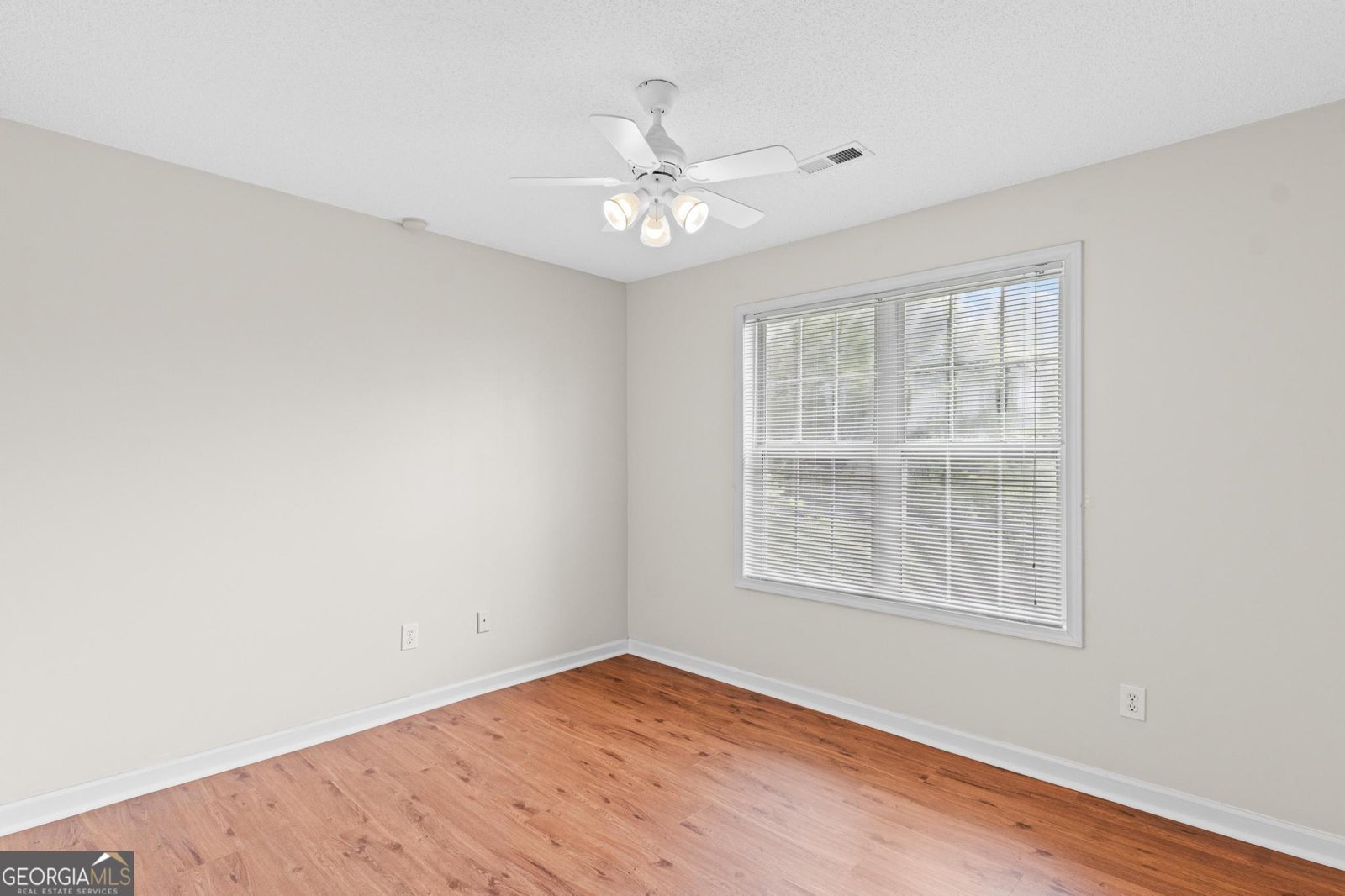 227 Ferguson Avenue Locust Grove - 2