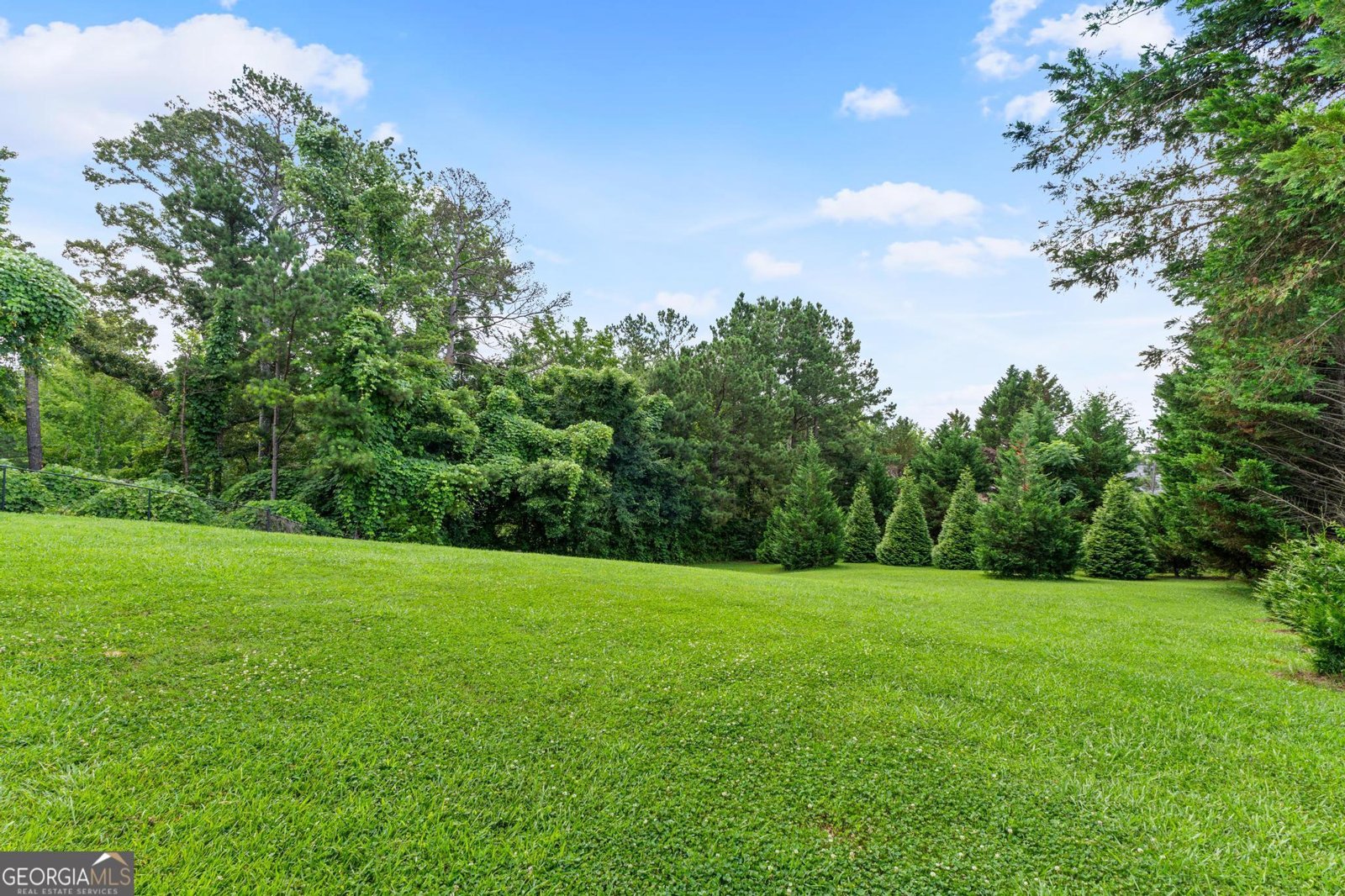 227 Ferguson Avenue Locust Grove - 7