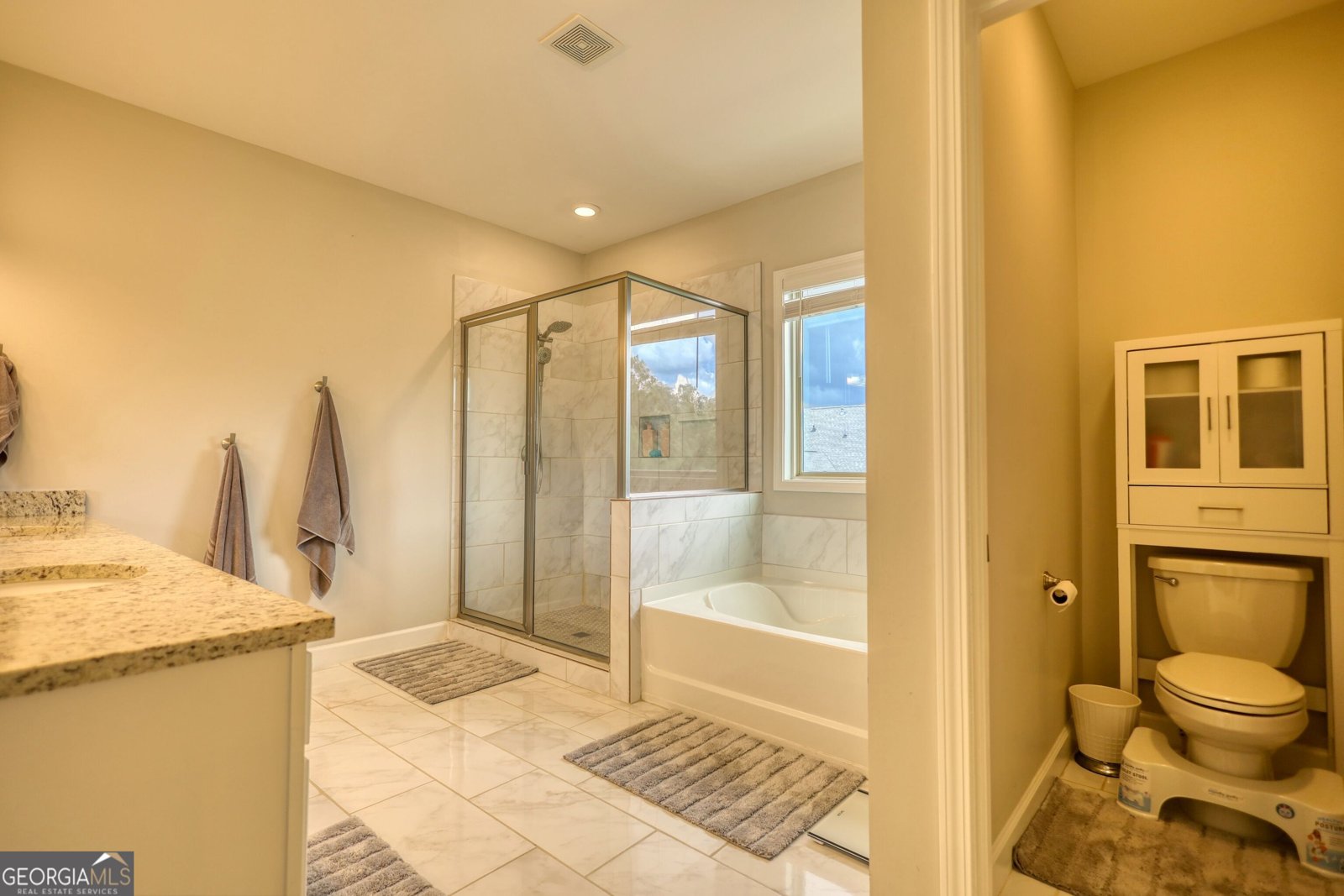 4895 STERLING CLOSE Buford - 28