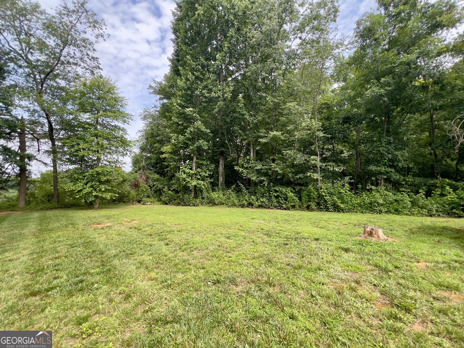 328 Panacea Court Demorest - 30