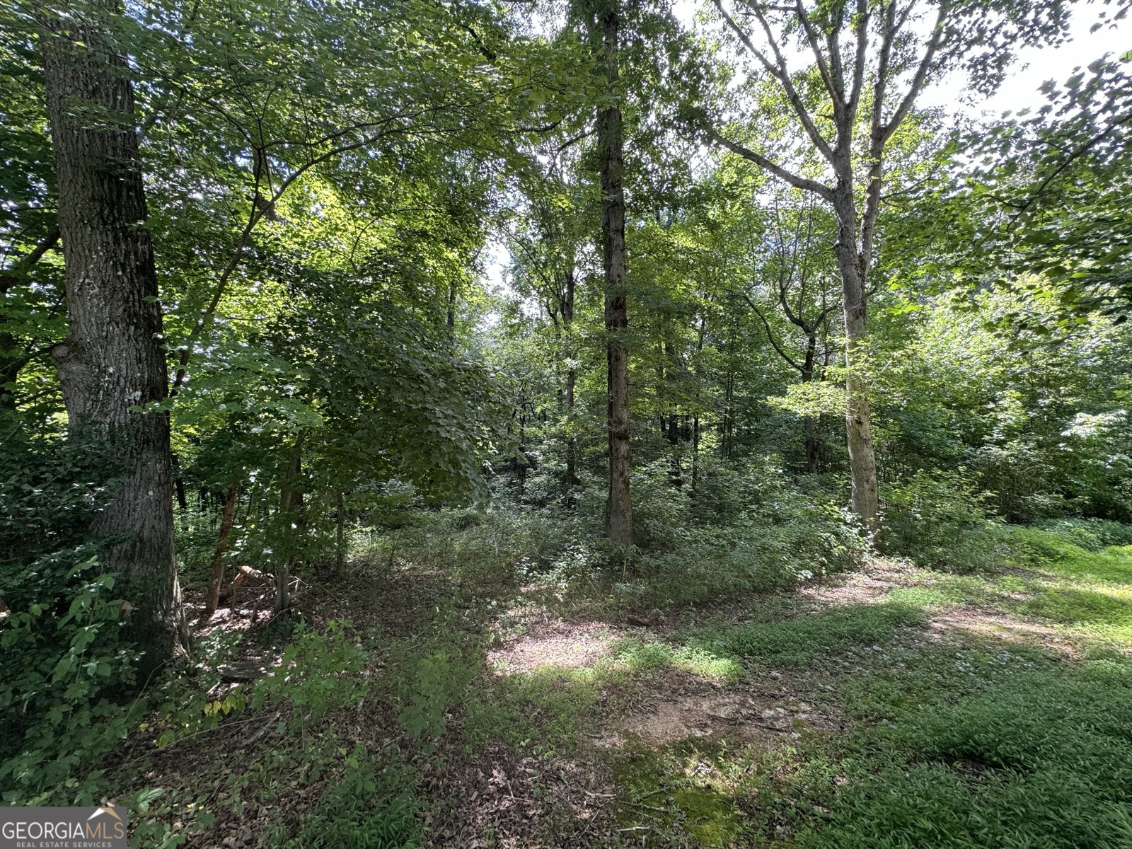 1929 Asbestos Road Sautee Nacoochee - 35