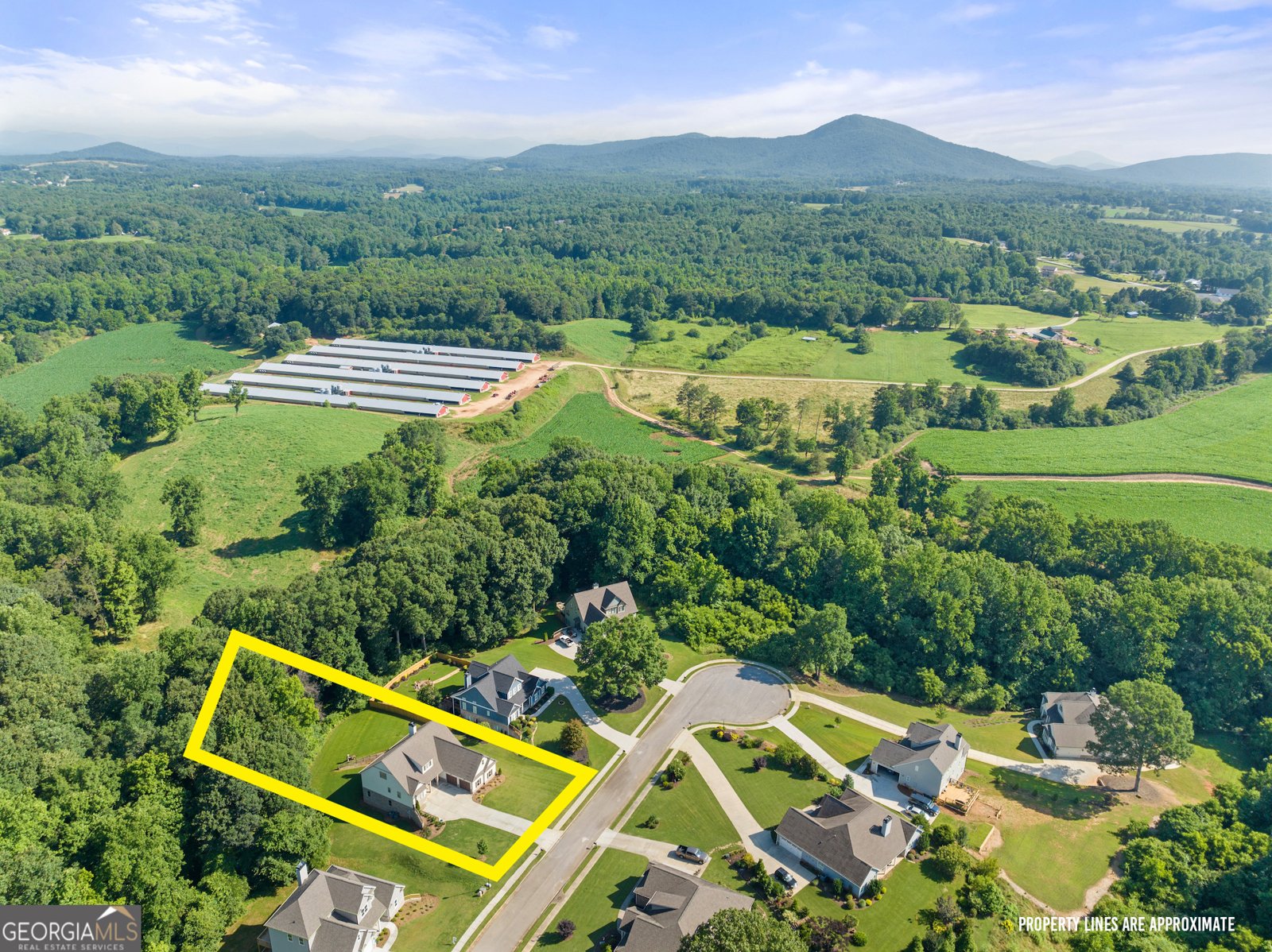 5821 Abbey View Court Clermont - 3