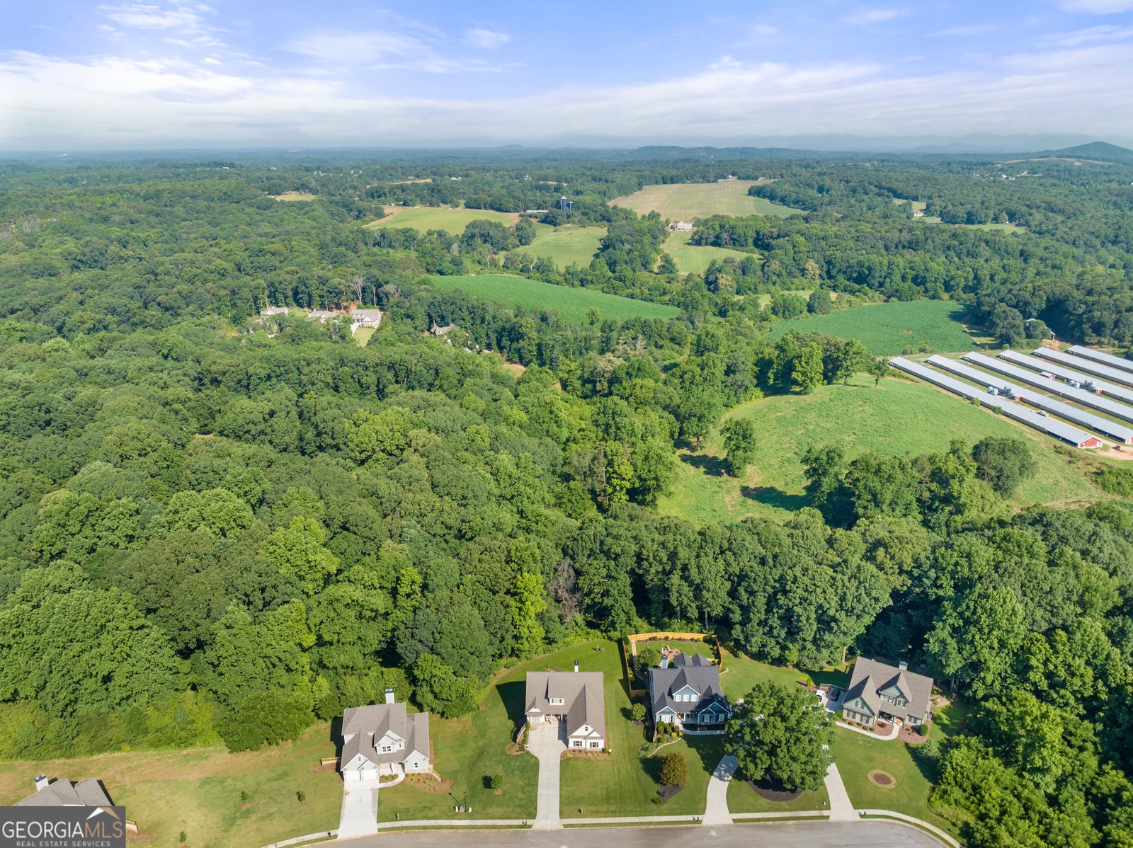 5821 Abbey View Court Clermont - 49