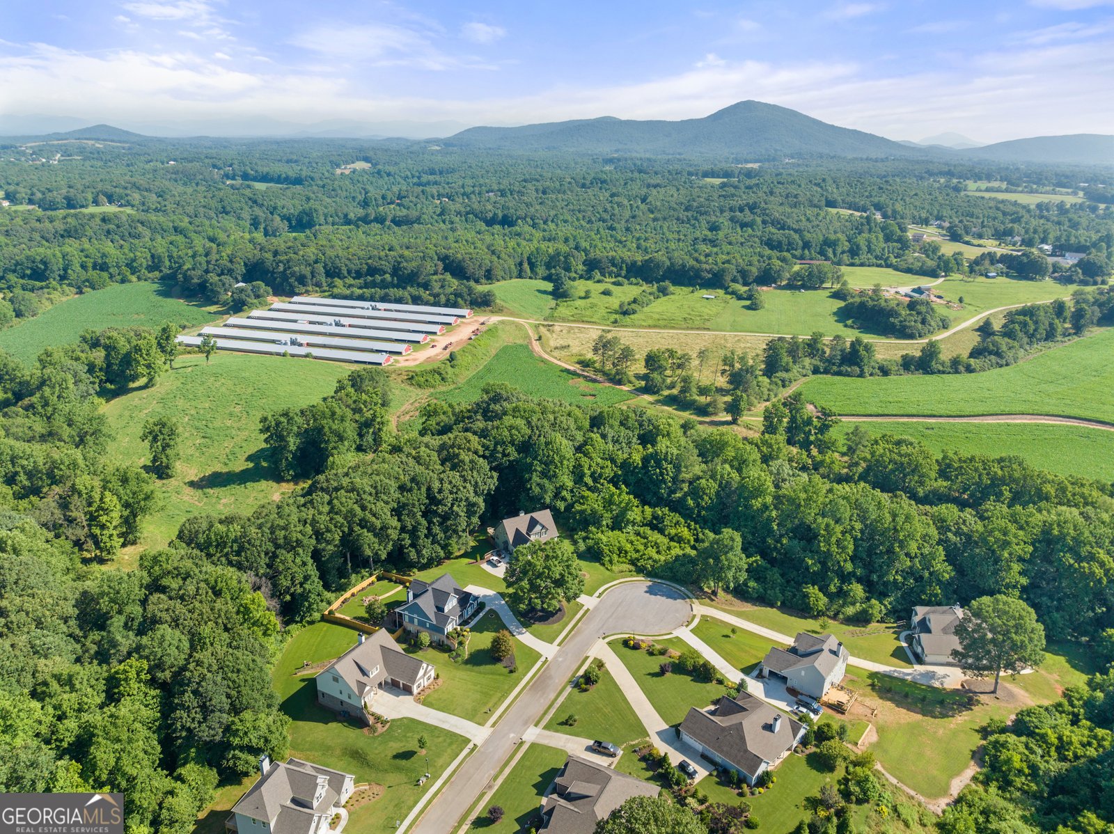 5821 Abbey View Court Clermont - 51