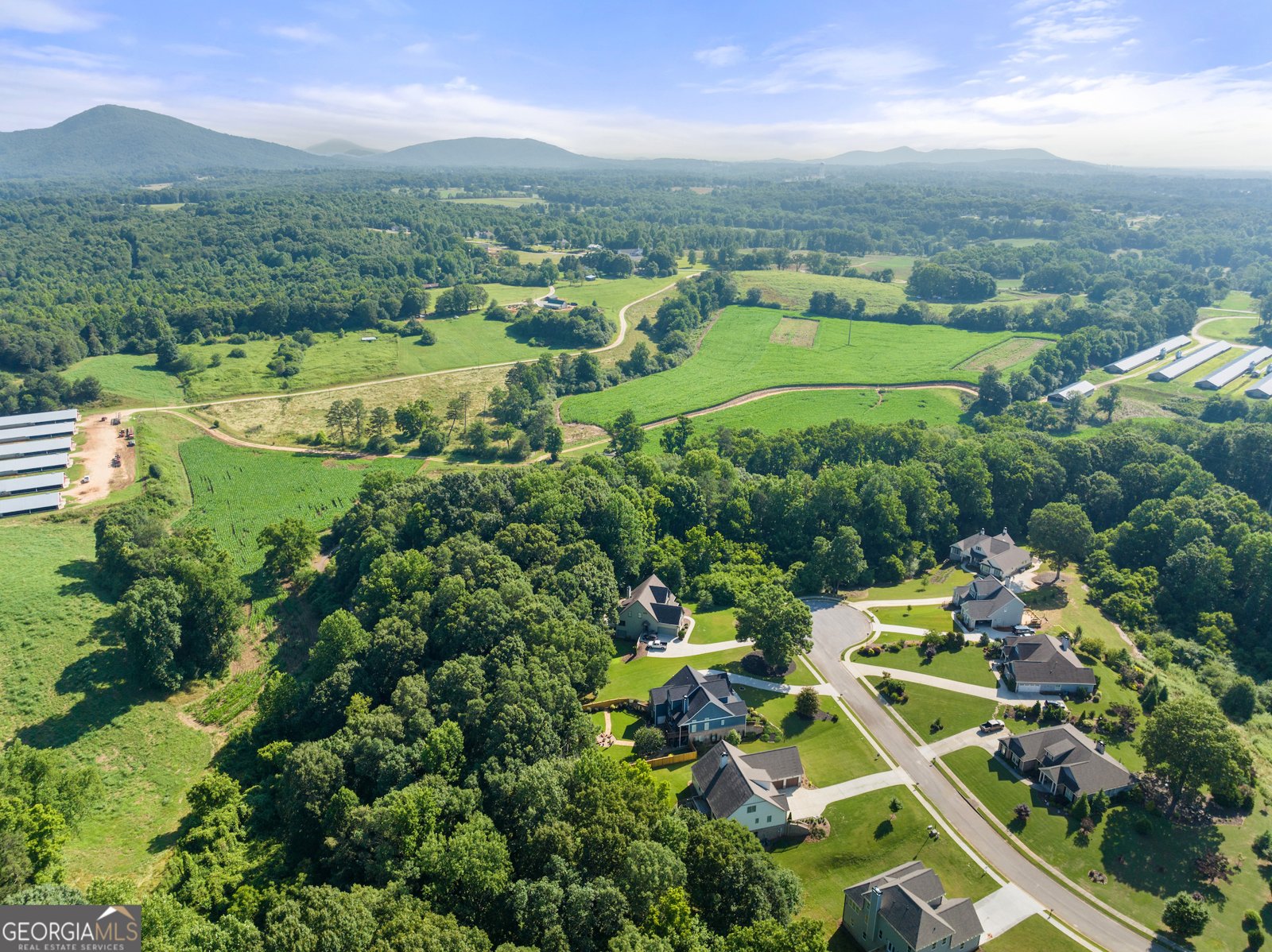 5821 Abbey View Court Clermont - 52