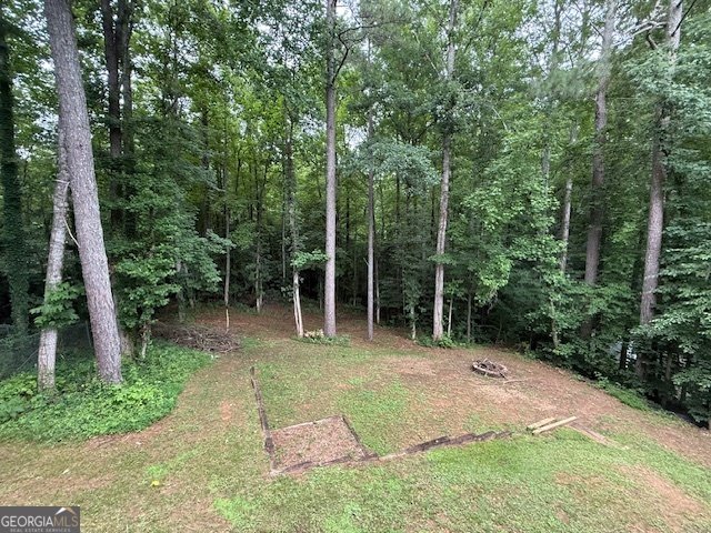 217 Cherokee Village Drive Ball Ground - 36