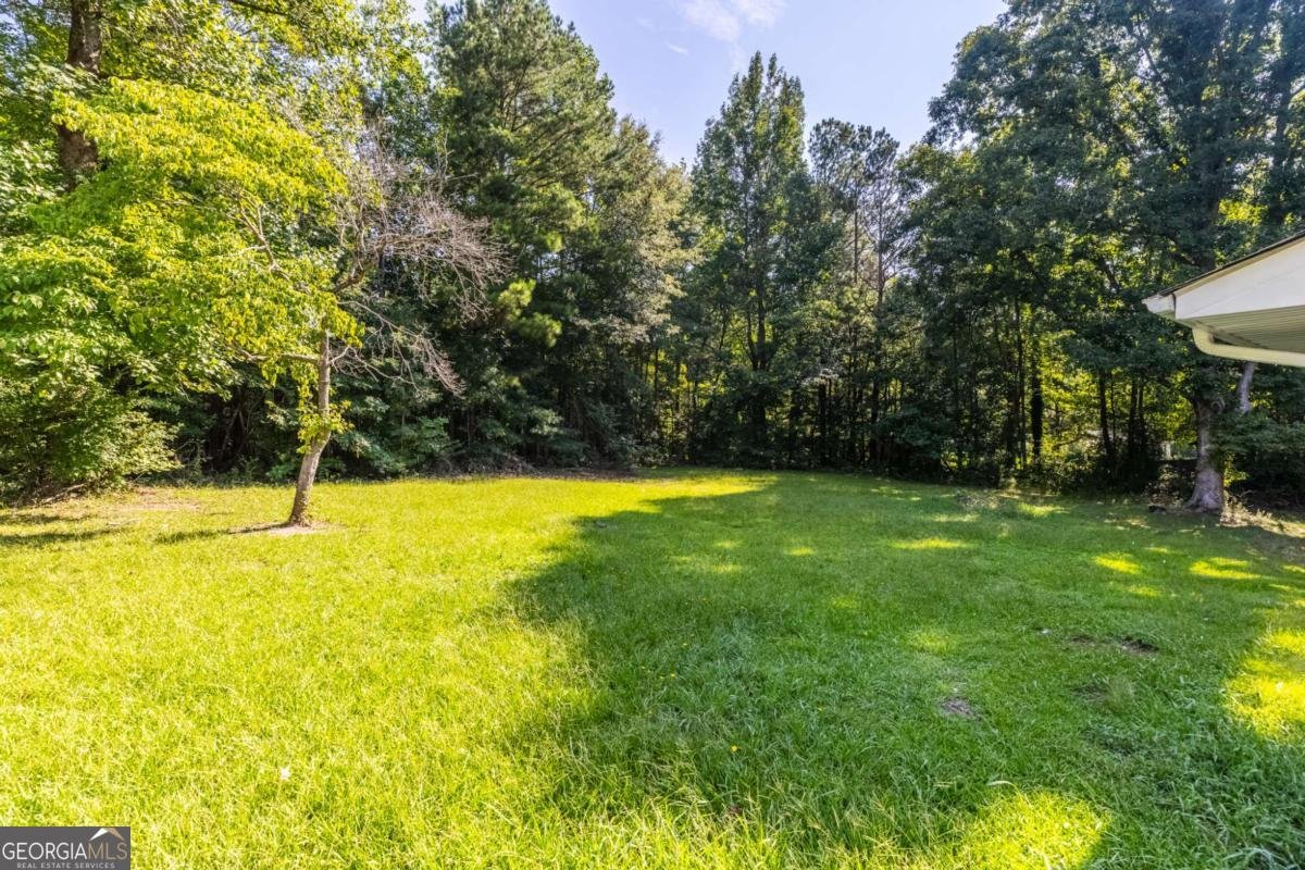 4440 Stonewall Tell Road Atlanta - 34