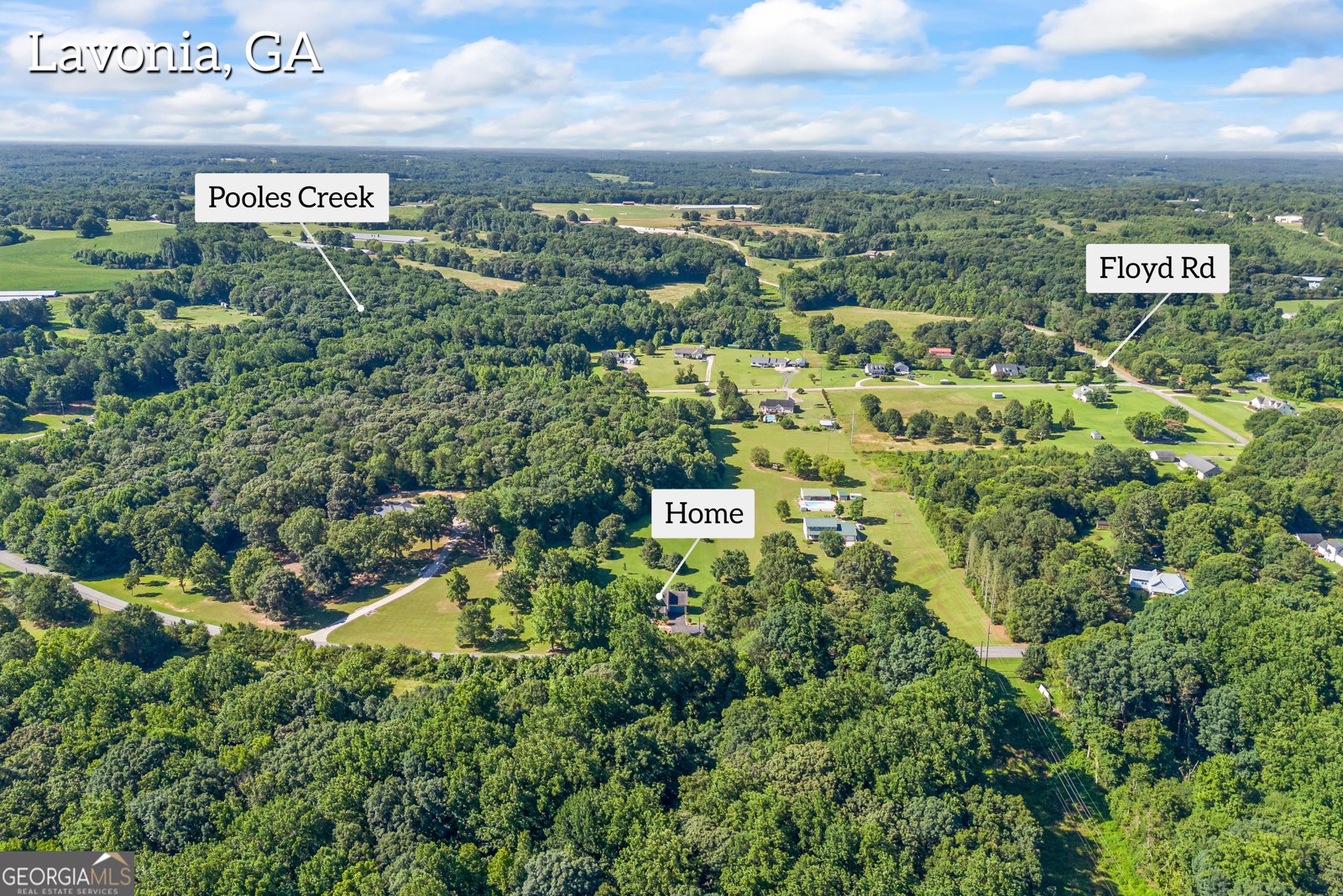 4025 Lankford Road Lavonia - 55