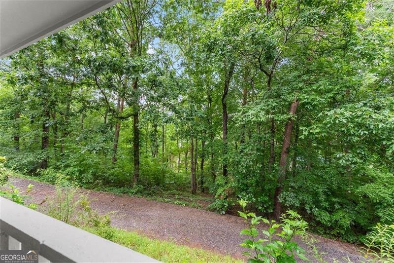 220 SILVER FOX Drive Dawsonville - 11