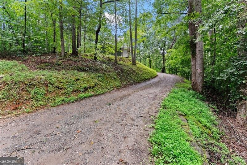 220 SILVER FOX Drive Dawsonville - 20