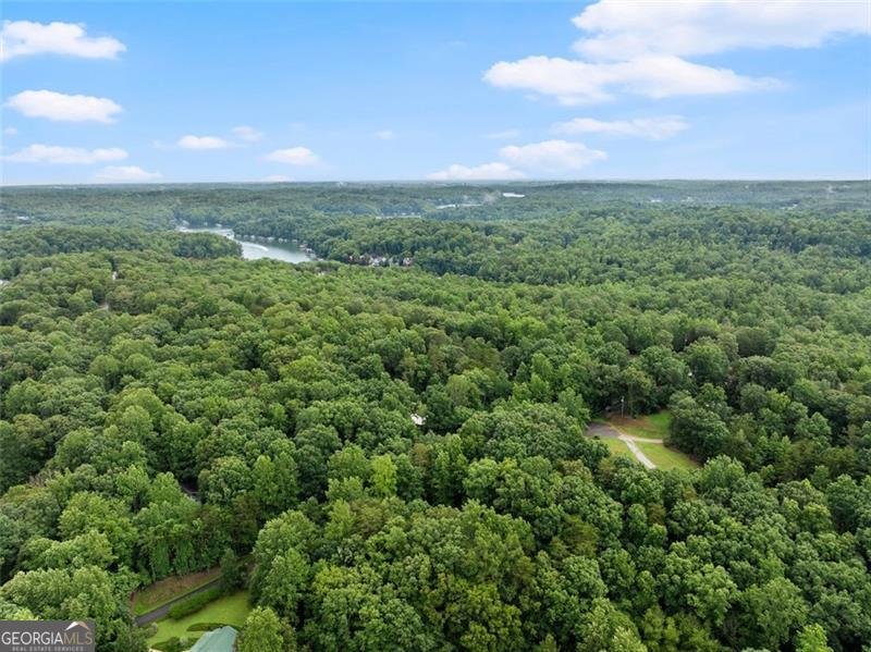 220 SILVER FOX Drive Dawsonville - 23