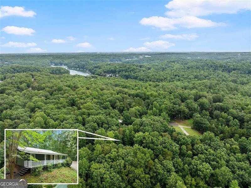 220 SILVER FOX Drive Dawsonville - 24