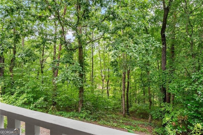 220 SILVER FOX Drive Dawsonville - 8