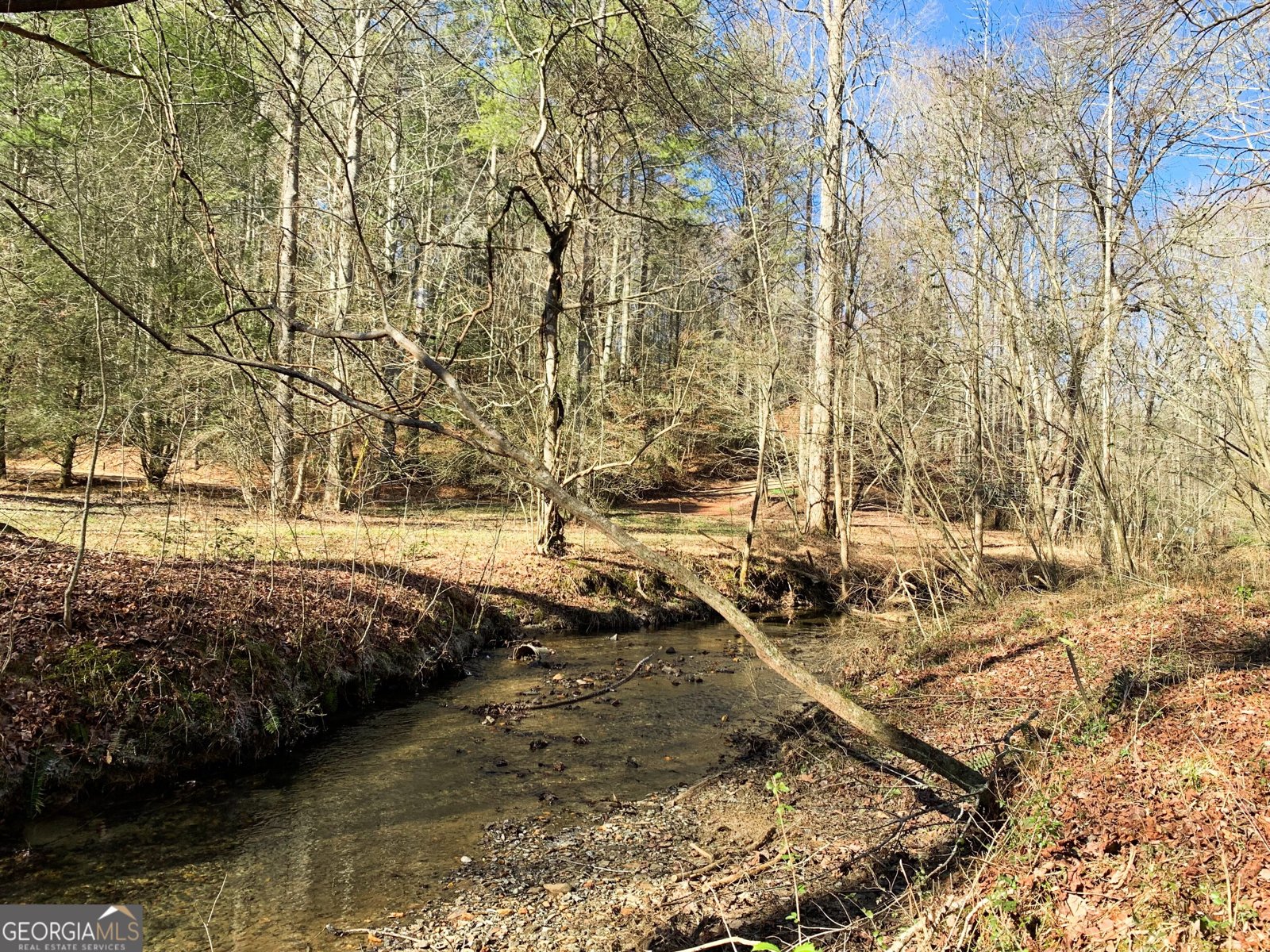 3177 Rodgers Creek Road Ellijay - 31