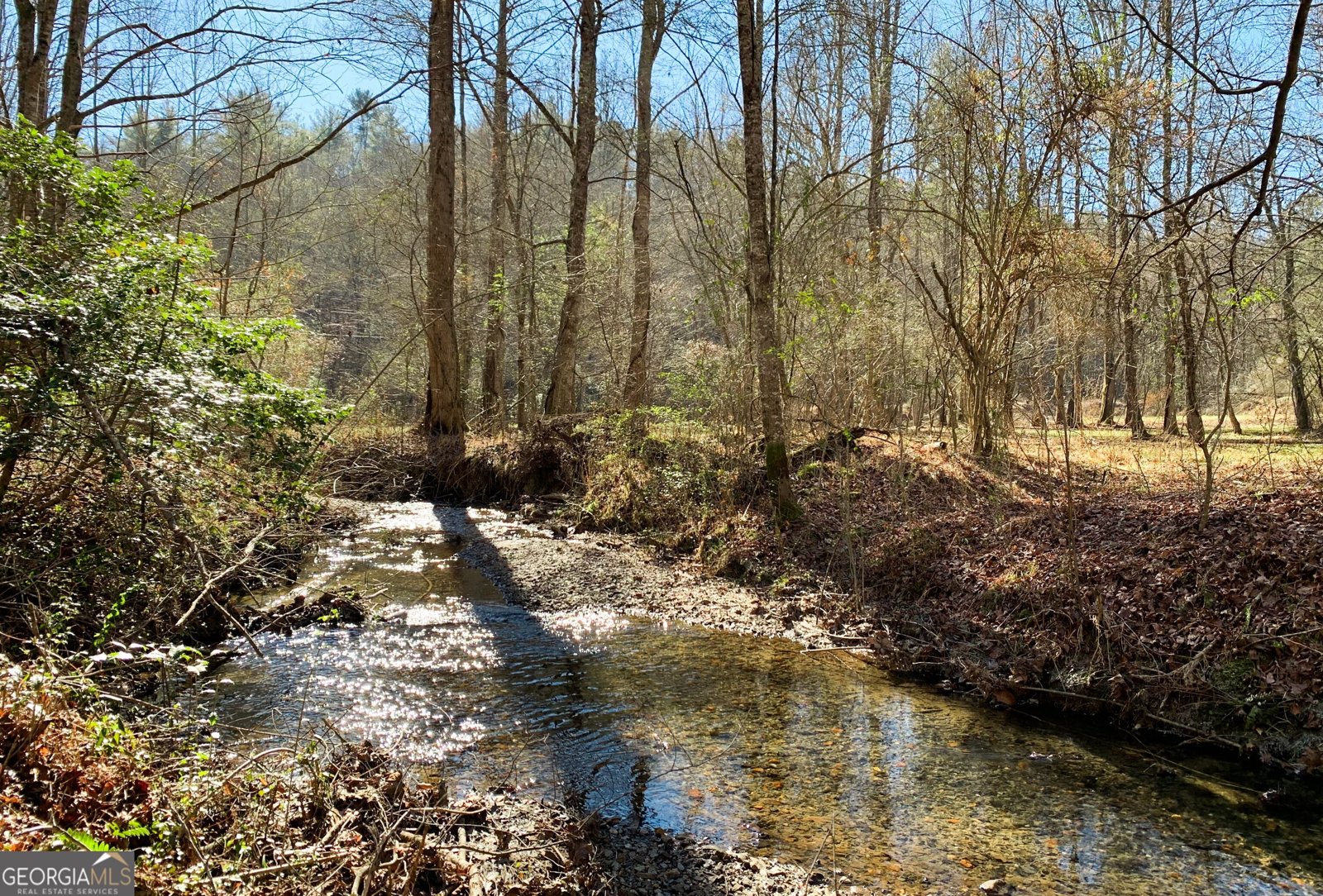 3177 Rodgers Creek Road Ellijay - 32