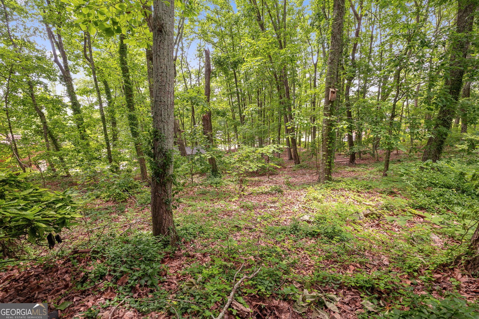 1832 Tree Top Court Marietta - 21