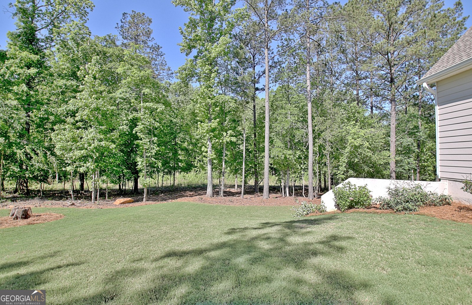 192 Greyfairs Avenue Senoia - 19