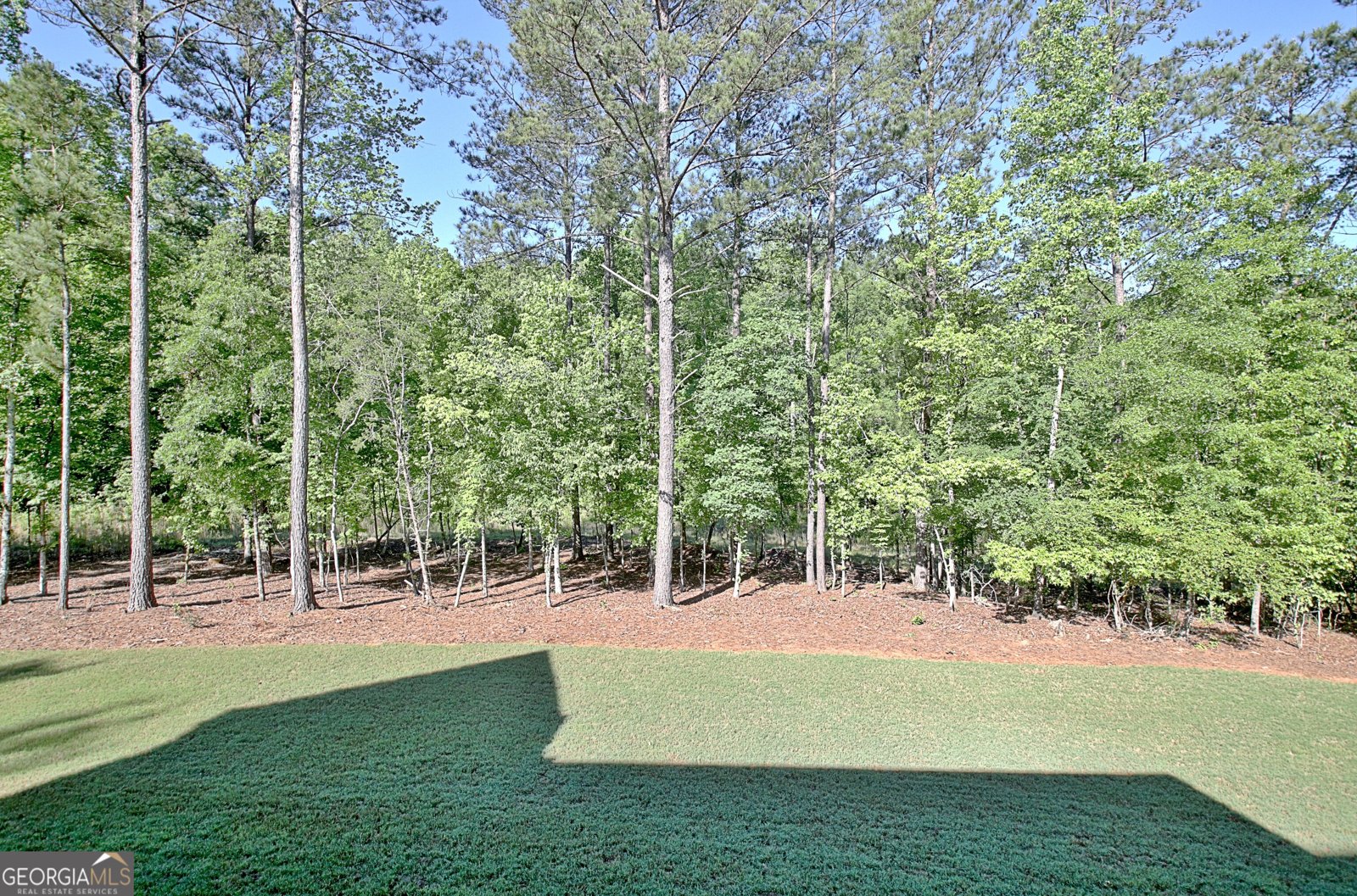 192 Greyfairs Avenue Senoia - 50