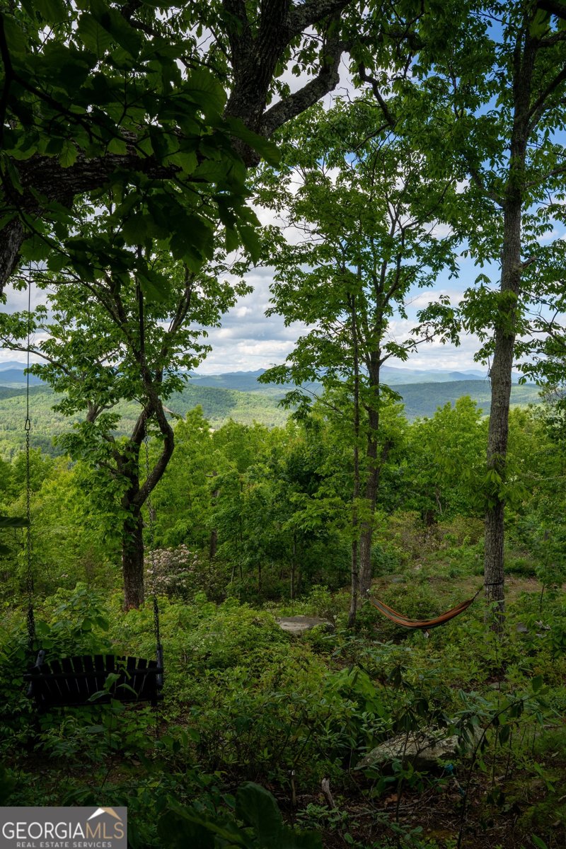 157 Tallulah Trail Tallulah Falls - 11