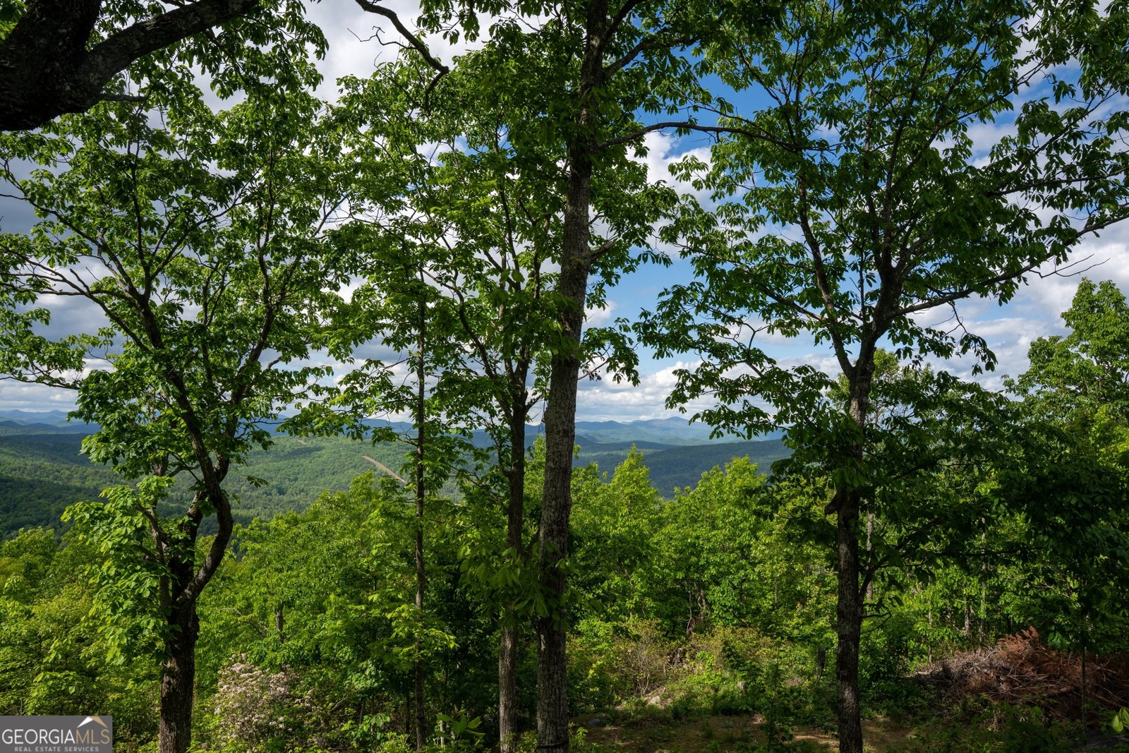 157 Tallulah Trail Tallulah Falls - 8
