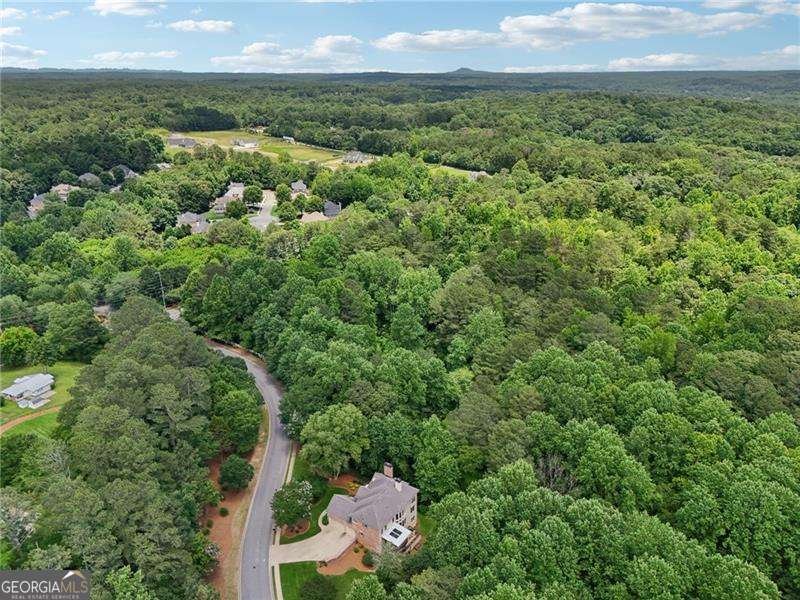 245 River Laurel Way Woodstock - 82