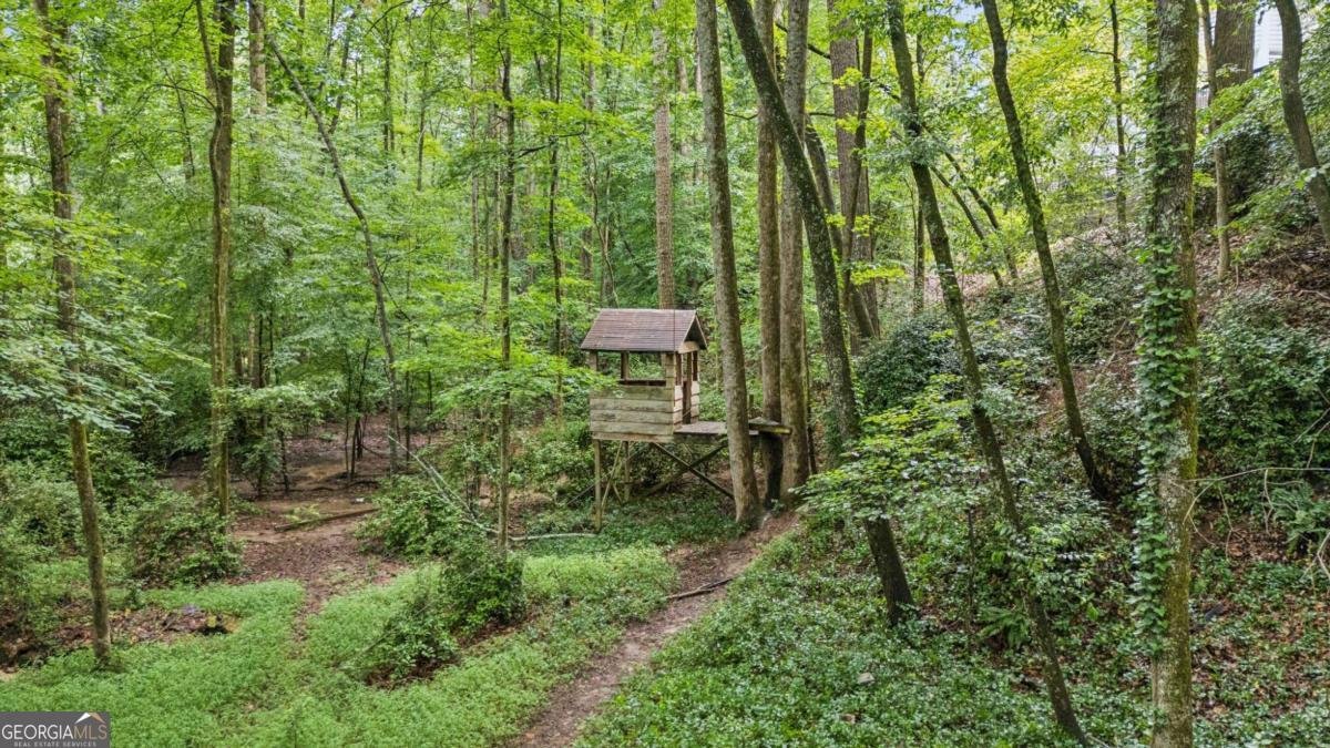 878 Treadstone Overlook Suwanee - 39