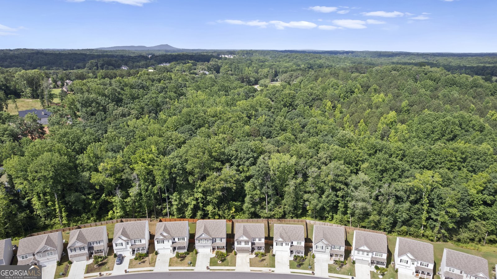 545 Quail Pass Dawsonville - 44