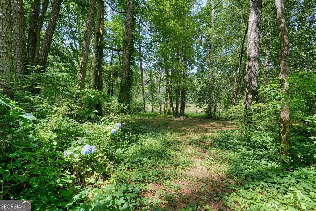 109 Lake Latimer Cove Kennesaw - 7