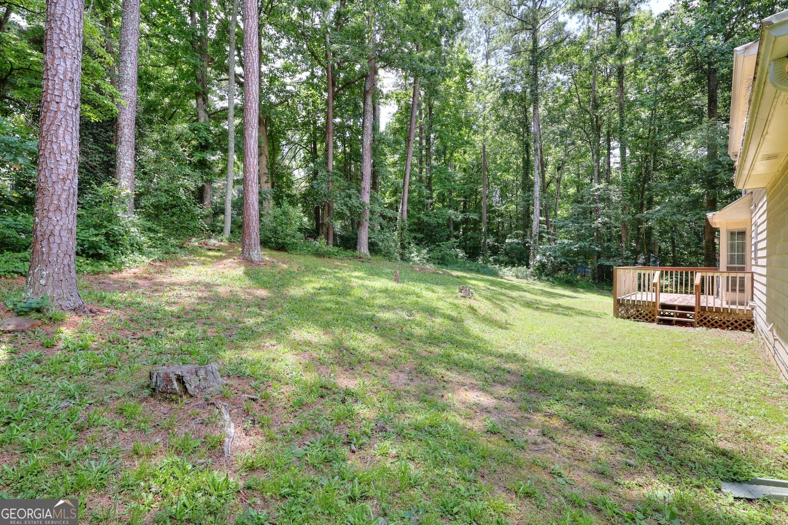 2983 TROTTERS VIEW Way Snellville - 10