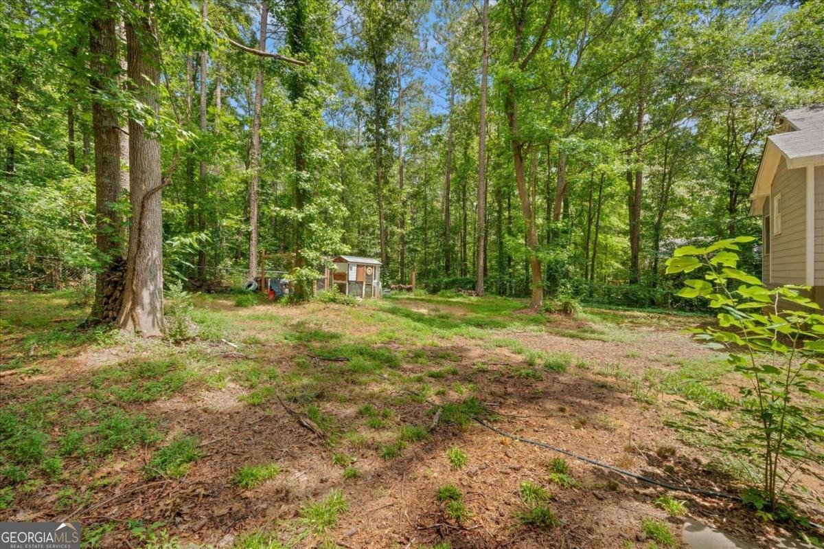 425 Shelby Lane Hiram - 28