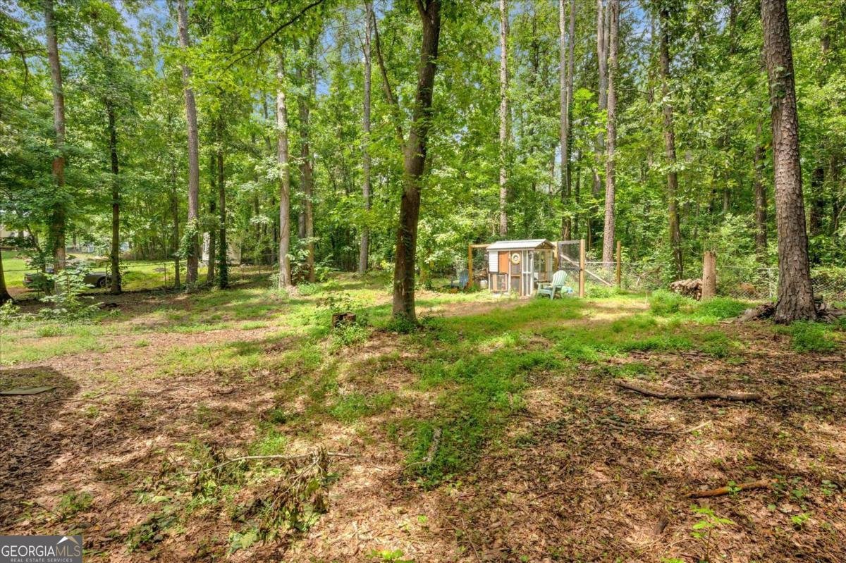 425 Shelby Lane Hiram - 32