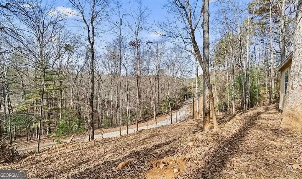 282 Armor Way Ellijay - 15