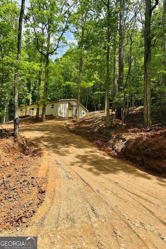 282 Armor Way Ellijay - 17