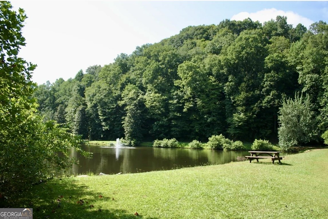 282 Armor Way Ellijay - 20